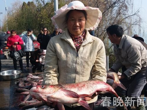 星云湖开渔 星云湖开渔