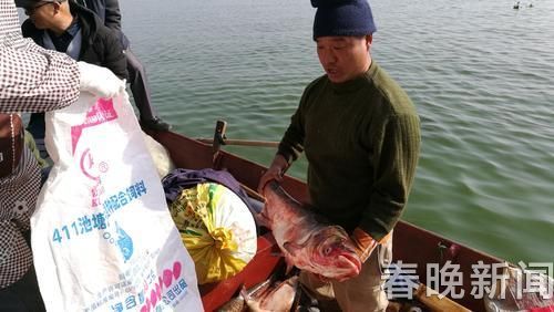 星云湖开渔 星云湖开渔
