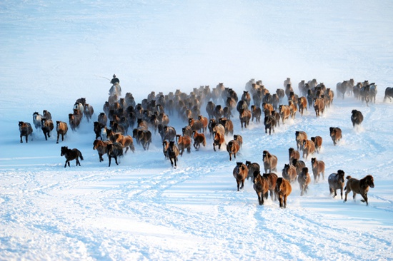 呼伦贝尔冰雪旅游破题“全域+四季”旅游模式