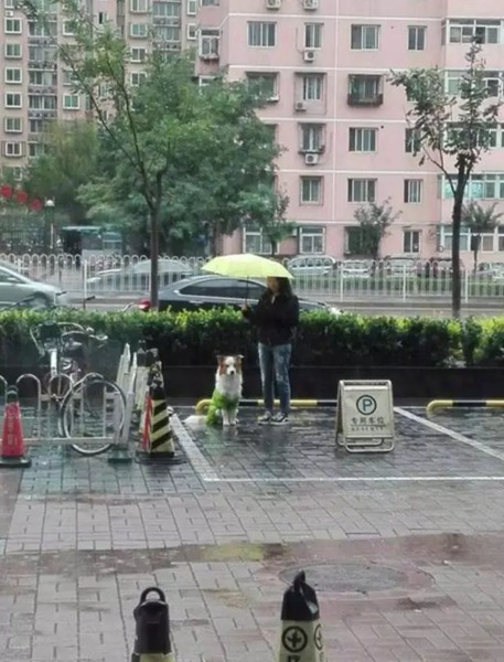 2017年最温暖的朋友圈：这一年，有你真好！