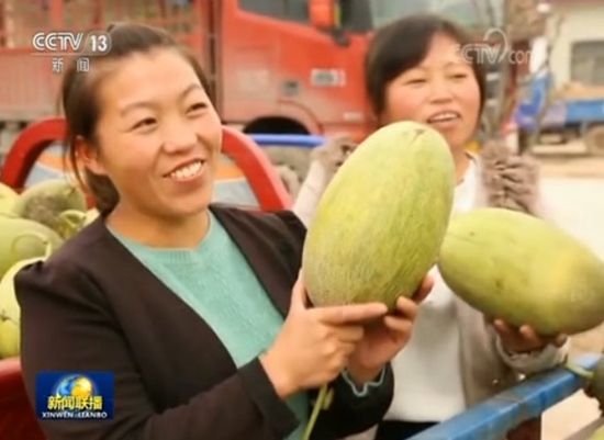 【中国乡村走向振兴】今年我国农民收入将创历史新高