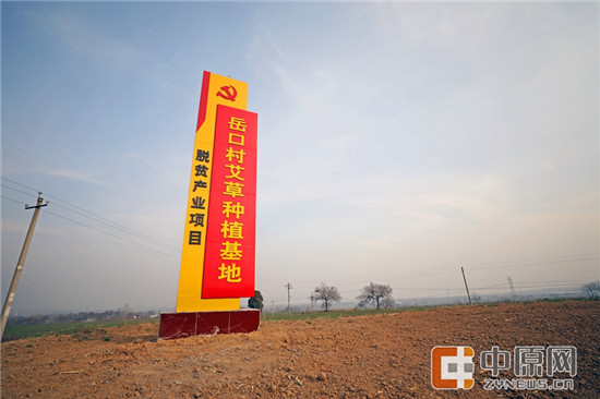 这一片土地，孕育着岳口村的无数希望