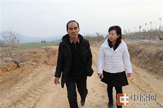 名扬种植合作社解决了岳口村的闲散劳动力问题