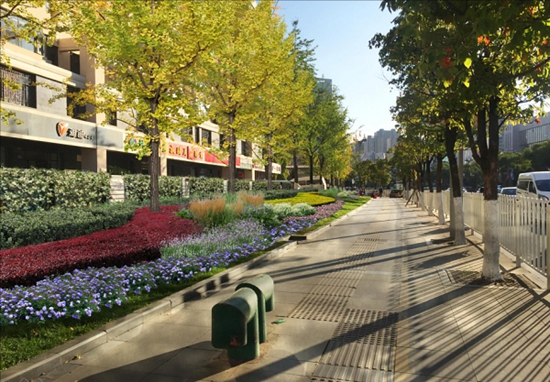 北京路部分路段景观效果图