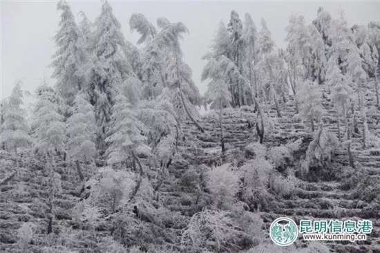 云南新一轮断崖式降温 已发布50个气象灾害预警