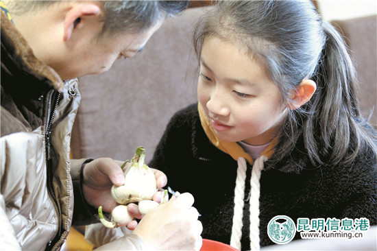 “水仙花雕刻亲子赛”走进西华公园 16组家庭为“凌波仙子”凹造型 “水仙花雕刻亲子赛”走进西华公园 16组家庭为“凌波仙子”凹造型