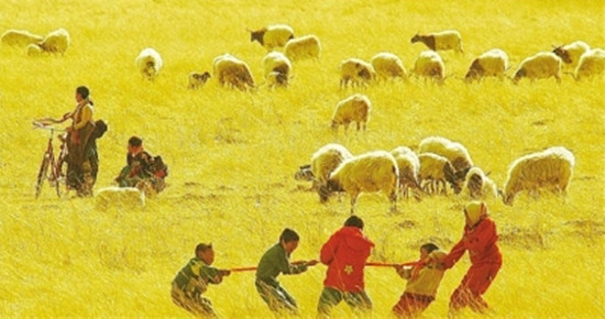 甘南草原上，几位放羊的小朋友在比赛拔河。光明图片