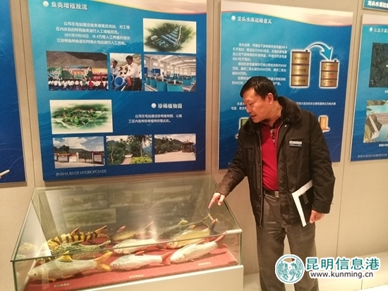 建水电站的同时做好珍稀鱼种的保护。 建水电站的同时做好珍稀鱼种的保护。