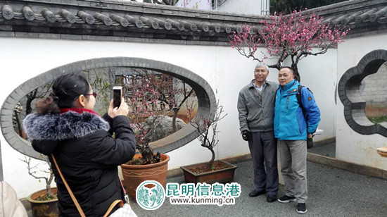 市民在盆景作品前合影留念