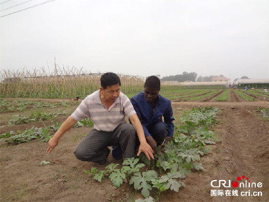 党选民手把手教刚果（布）农民种植西瓜