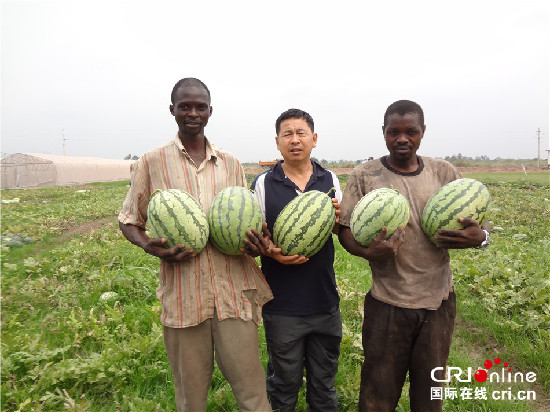 与刚果（布）朋友们分享丰收的喜悦