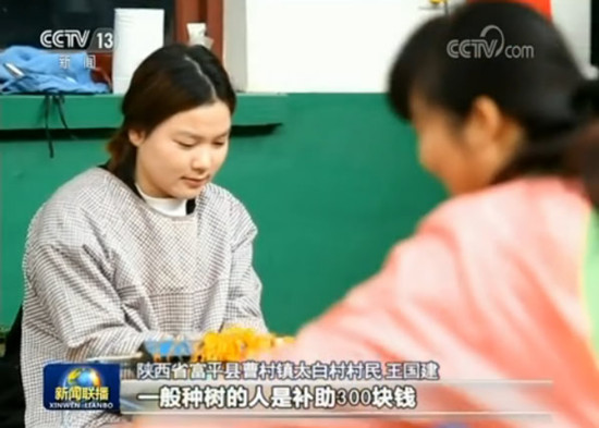 【新时代新气象新作为】陕西精准施策推动产业扶贫