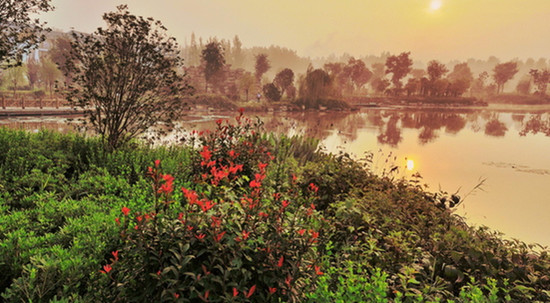 代村的国家农业公园一角 代村的国家农业公园一角