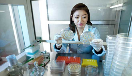 【中国梦实践者】“魔法师”卢艳丽:发掘抗逆基因 把玉米“点石成金” 【中国梦实践者】“魔法师”卢艳丽:发掘抗逆基因 把玉米“点石成金”