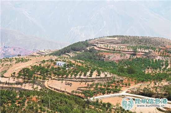 【新时代有话说】奋力开创幸福美丽新铜都建设新局面