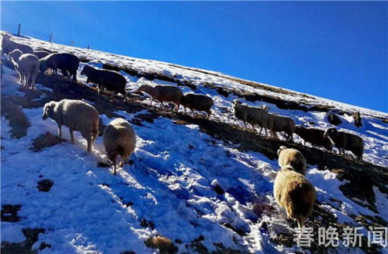 云南首个高山滑雪场27日会泽迎客 云南首个高山滑雪场27日会泽迎客