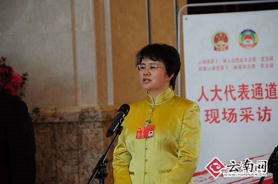 云南两会首设“代表通道” 人大代表现场谈履职话发展谋思路 云南两会首设“代表通道” 人大代表现场谈履职话发展谋思路