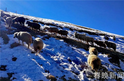 云南首个高山滑雪场27日会泽迎客