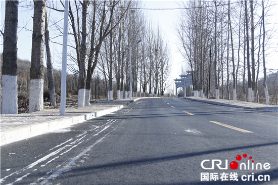 大连金普新区炮台街道袁屯村的农村公路 大连金普新区炮台街道袁屯村的农村公路