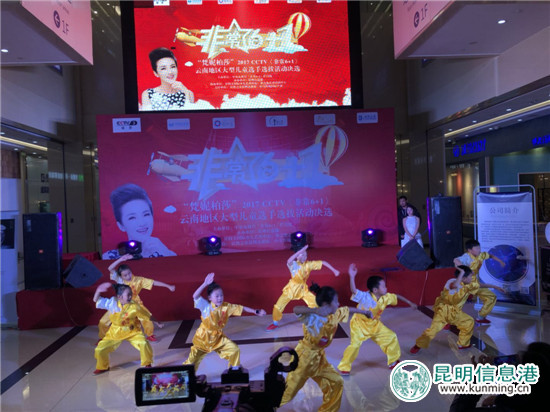 武术表演 武术表演