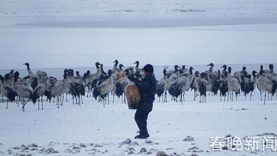 冰雪封冻下鹤舞高原 昭通大山包美出新境界