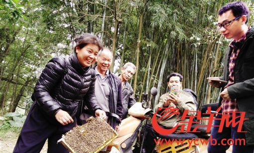 【中国梦·践行者】她是都市小蜜蜂 身残志坚“酿造”甜蜜生活