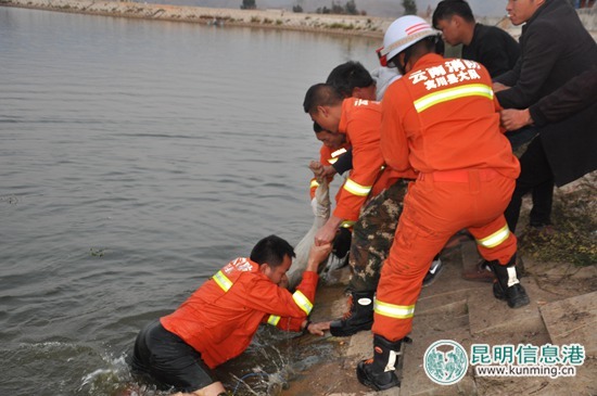 大理宾川两名女孩跌落水库 消防官兵紧急救援