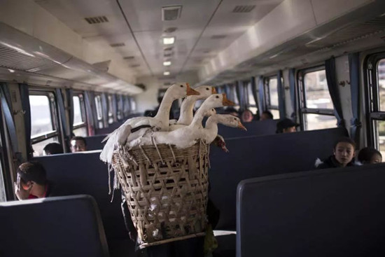 穿行大凉山的慢火车：票价低至两元