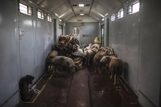 穿行大凉山的慢火车：票价低至两元