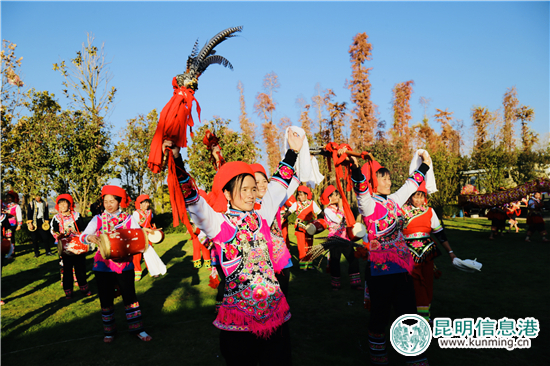 晋宁秧佬鼓 晋宁秧佬鼓