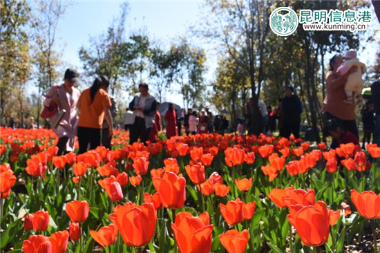 花仙子公司内满园的花地毯。