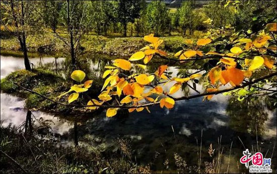 甘孜雅砻江畔 感受湿地的壮阔之美