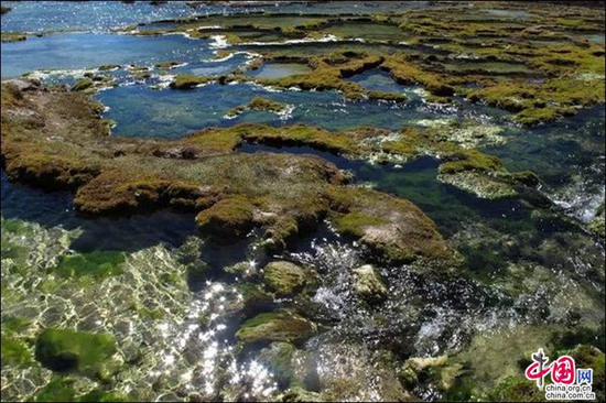 甘孜雅砻江畔 感受湿地的壮阔之美 甘孜雅砻江畔 感受湿地的壮阔之美