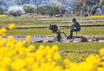 “一号文件”在基层 “一号文件”在基层