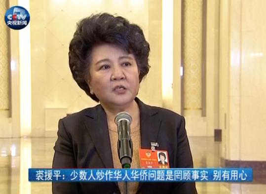 裘援平：少数人炒作华人华侨问题是罔顾事实 别有用心