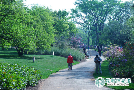 昆明植物园“三八节”特惠 女同胞可享受半票入园 昆明植物园“三八节”特惠 女同胞可享受半票入园