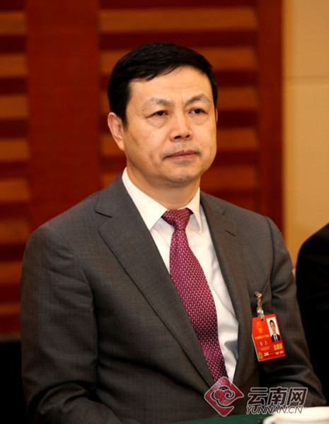 全国人大代表杨杰：坚决贯彻落实国家“提速降费”政策