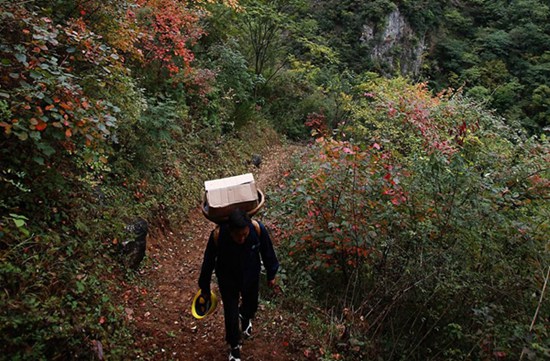 “草鞋电工”人大代表 “草鞋电工”人大代表