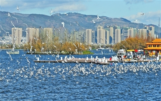 三省全国代表委员共话河长制：滇池与湘江太湖的“对话”