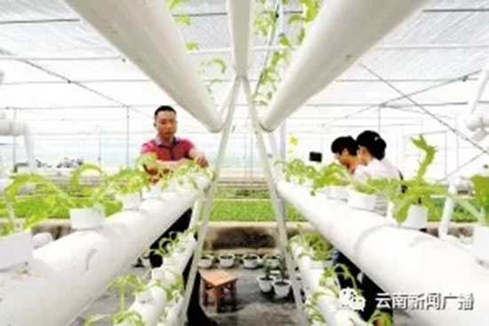 两会进行时丨乡村振兴 开启'三农'新时代 两会进行时丨乡村振兴 开启'三农'新时代