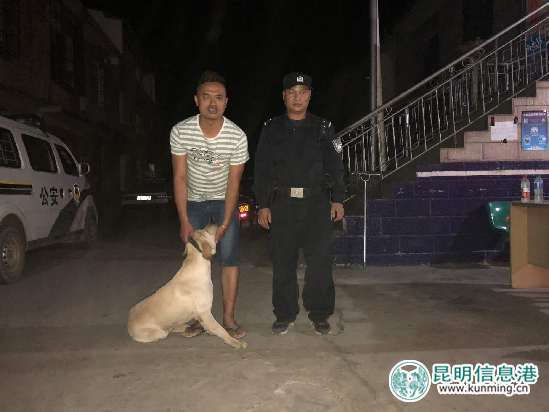 向警察求助的狗狗