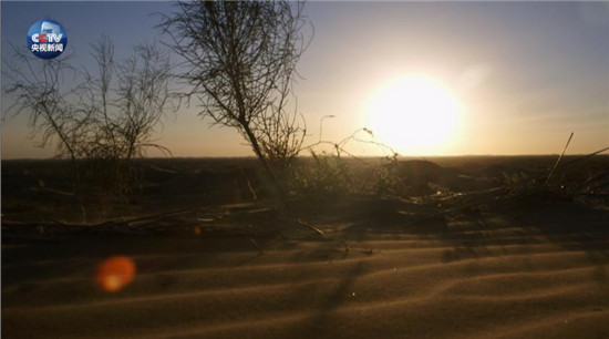 央视原创时政微视频丨美丽中国说