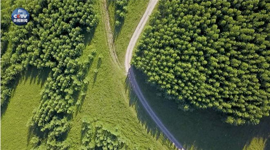 央视原创时政微视频丨美丽中国说