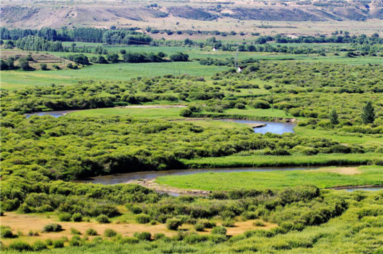 习近平用这些“色彩”描绘新时代