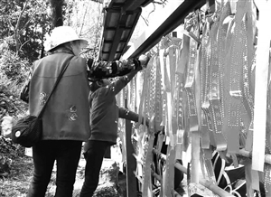 黑龙潭公园举行第三届龙王会 1.5万市民入园 黑龙潭公园举行第三届龙王会 1.5万市民入园