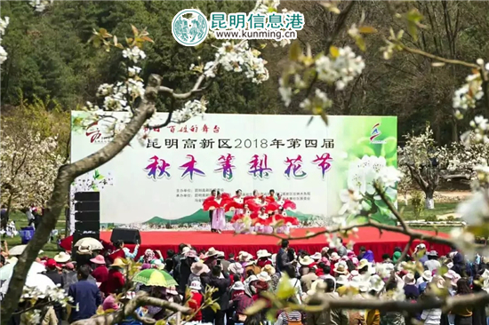 昆明高新区2018年第四届秋木箐梨花节隆重启幕