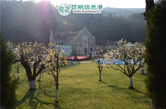 昆明高新区2018年第四届秋木箐梨花节隆重启幕