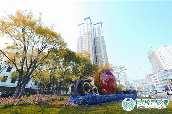 穿金路段鲜花小品。本组图片记者杨艳辉摄