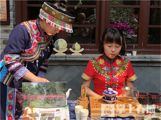 云南2018年春茶上市 部分企业已出定价