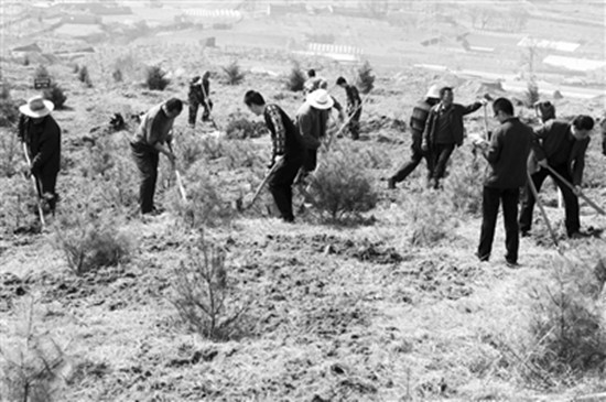 正在植树的村民们。首席记者王兰芳/摄 正在植树的村民们。首席记者王兰芳/摄